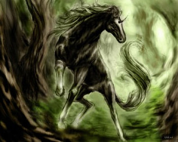 fantasy unicorn, hiden trail HD wallpaper