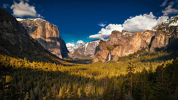 nature, fun, cool, mountains, forest HD wallpaper