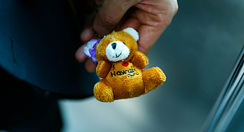 Teddy Bear, Hand, Miscellanea, Miscellaneous, Toy HD wallpaper