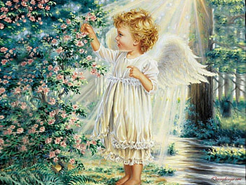 An Angel's Touch, touch, angel, flowers, ray HD wallpaper