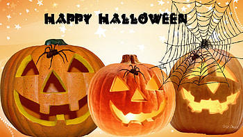 Jack-O-Lanterns and Spiders, spider webs, halloween, pumpkin, spider, orange, smiling jacks HD wallpaper