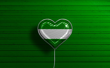 I Love Rotterdam, , realistic balloons, green wooden background, Day of Rotterdam, dutch cities, flag of Rotterdam, Netherlands, balloon with flag, Rotterdam flag, Rotterdam HD wallpaper