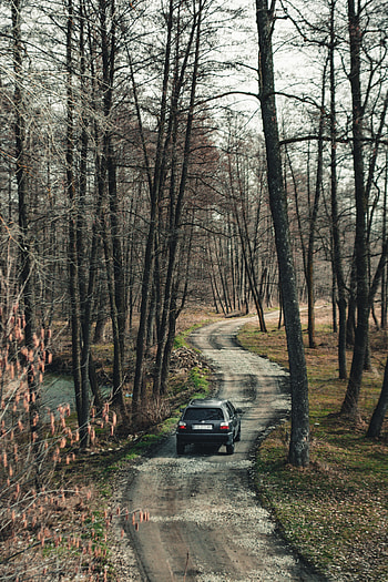 Volkswagen, Cars, Road, Forest, Car, Suv HD phone wallpaper