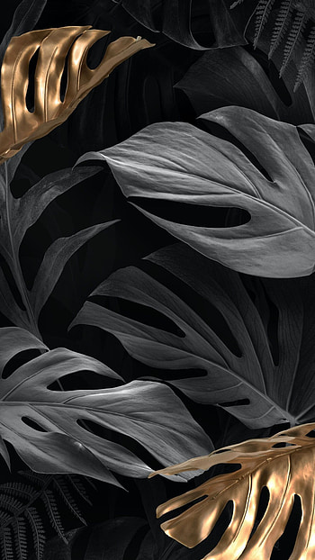 Gold Leaf, Aesthetic , Black and gold HD phone wallpaper