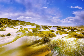 Grass, sand, beach, nature, landscape HD wallpaper