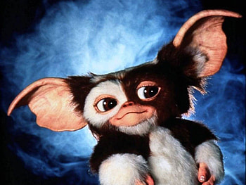 Adorable Gizmo, Playful expressions, Lovable character, Cute appeal HD wallpaper
