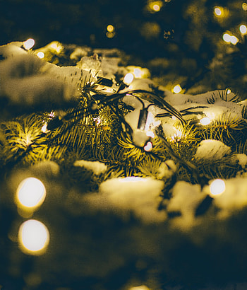 Snow, Shine, Light, Miscellanea, Miscellaneous, Branches, Spruce, Fir, Garland HD phone wallpaper