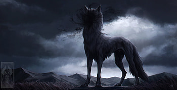 Wolf In Shadow , wolf, artist, artwork, digital-art, deviantart HD wallpaper