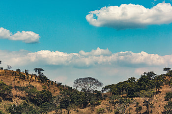Nature, Trees, Clouds, Hills, Hill, Africa HD wallpaper