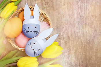 Easter Bunny Eggs – Bright Holiday Celebration, easter egg, holiday, Easter HD wallpaper