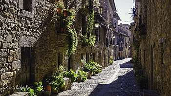 Street, flowers, path, homes HD wallpaper