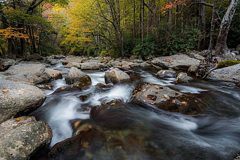 Stream, nature, water, forest HD wallpaper