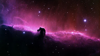 Stars, , ps3, star, pink, horsehead ( HD wallpaper
