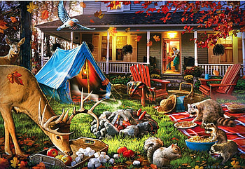 Getting chilly out, birds, raccoons, animals, deer, campfire, tent, cabin HD wallpaper