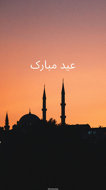 Eid Mubarak, allah, khuda, roja, mohobat, mosque, eid_mubarak, aamin, duaa HD phone wallpaper