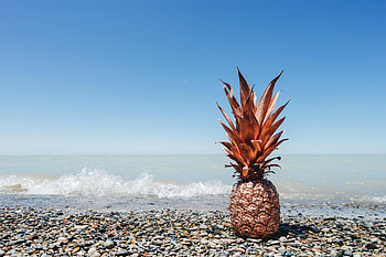 Gold, Coast, Miscellanea, Miscellaneous, Fruit, Tropical, Pineapple HD wallpaper