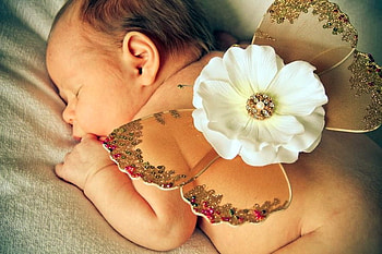 Butterfly Angel, precious, wings, flower, baby, sleeping HD wallpaper