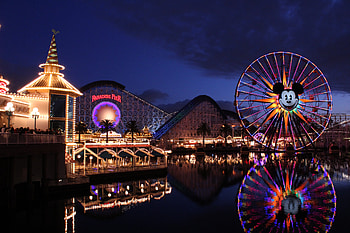 Disney, Amusement Park, California, Roller Coaster, , Disneyland, Ferris Wheel, Light, Night, Reflection HD wallpaper