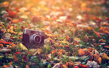 Art , Objective, Objects HD wallpaper