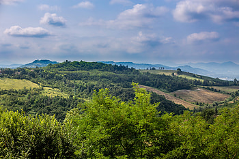 Nature, Trees, Hills, Slope, Dahl, Distance HD wallpaper