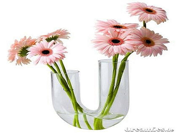 gerber, vase, glass, pink, flower HD wallpaper