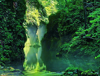 The light beyond, river, gorge, sunlight, green, water, forest, filter, dense HD wallpaper