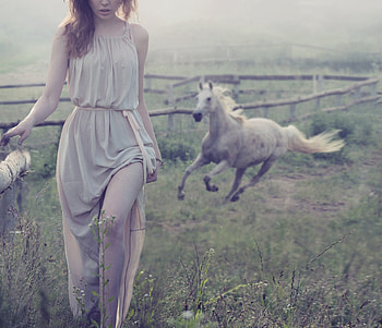 Women Outdoor With White Horse, women, girls, white, horse HD wallpaper