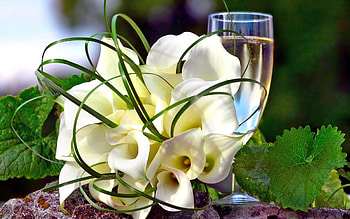 Flowers and Wine, White, flowers, love, wine HD wallpaper