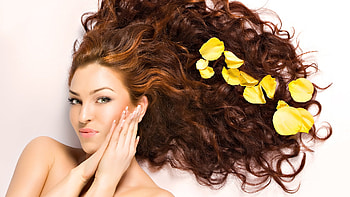 Pin Designs Hair Salons r Beauty Salon on . HD wallpaper
