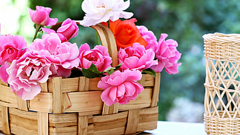 Basket of Roses, Flower Bouquet HD wallpaper