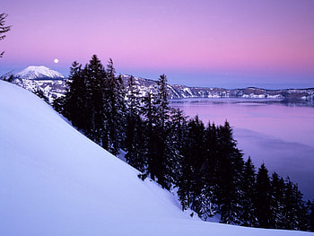 Winter, Nature, Trees, Snow, Mountain, Evening, Slope, Calmness, Tranquillity HD wallpaper