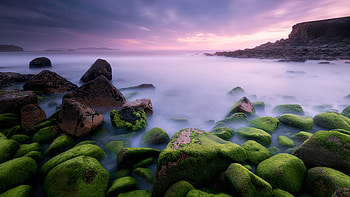 Sea Moss Rocks, Nature, Rocks, Moss, Sea HD wallpaper