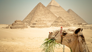 Cairo tours, Pyramids of Giza, Great pyramid of Giza, Luxor travels HD wallpaper