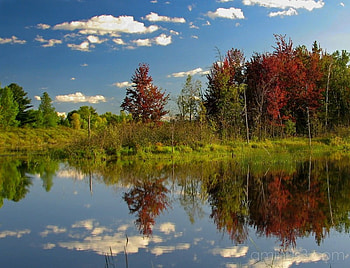 A Lovely Place To Be, blue, trees, autumn, sky, clear, lake HD wallpaper