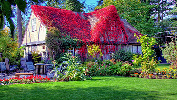 Beautiful Spring Scenes House And HD wallpaper
