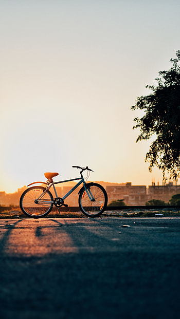 Nature, Sunset, Sky, Horizon, Bicycle HD phone wallpaper