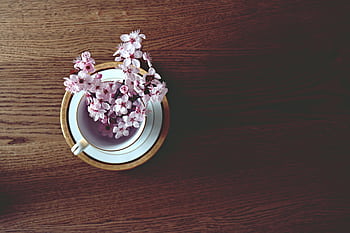 Aesthetic arrangement of cherry blossoms in a teacup on a wooden table. Perfect for spring themes. HD wallpaper