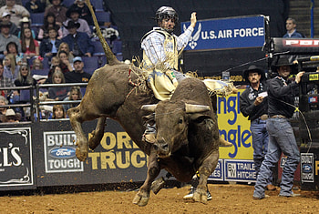Extreme cow , Bull riding challenges, Rodeo action, Stunning shots HD wallpaper
