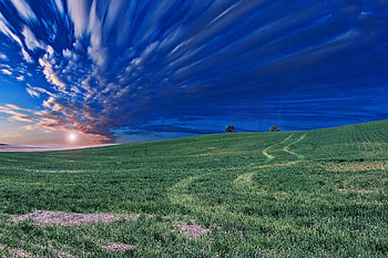 Nature, Grass, Sky, Horizon, Field, Evening HD wallpaper