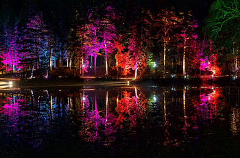 Park at night 1, Park, Nature, Night, Light HD wallpaper
