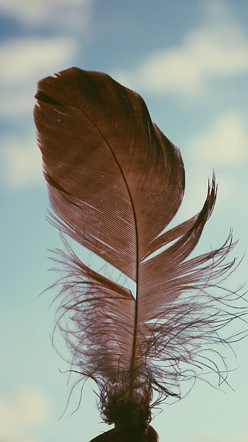 Feather in the sky, resolution, and Android , Serene ry HD phone wallpaper