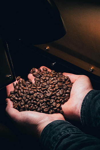 Food, Coffee, Hands, Coffee Beans HD phone wallpaper