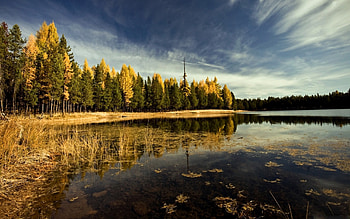 Beautiful Place, fall, forests, beautiful, lakes, reflection, clouds, trees, autumn, nature, sky, water HD wallpaper