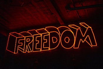 Vivid red neon 'dom' sign glowing against a dark backdrop, evoking a sense of liberation. HD wallpaper