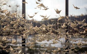 Paper Crane, Origami , Subtle beauty, Serene art piece HD wallpaper