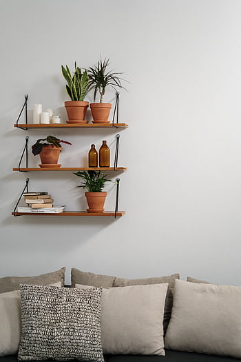 Elegant minimalist interior featuring wooden shelves with potted plants and cozy pillows. HD phone wallpaper