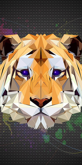 Tiger, Facets HD phone wallpaper