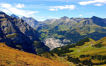 Nature, Trees, Mountains, Greens, Meadows, Slopes, Clearing, Glades HD wallpaper