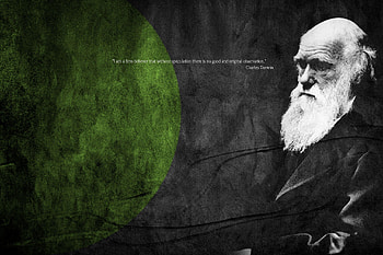 Charles Darwin, Evolutionary biologist, Naturalist, Scientific theory HD wallpaper
