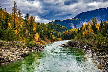 Explore the serene beauty of a river flowing through a vibrant autumnal forest in the mountains. HD wallpaper